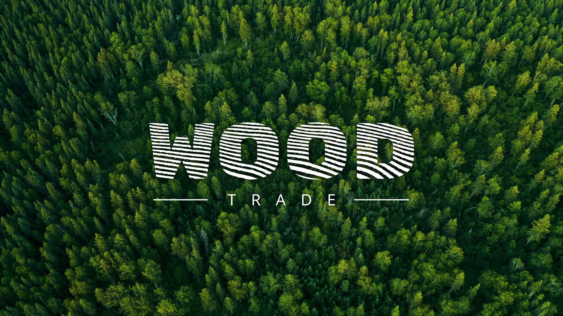Разработка интернет-магазина компании «Wood Trade» в Вязниках